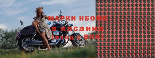 гашик Пересвет